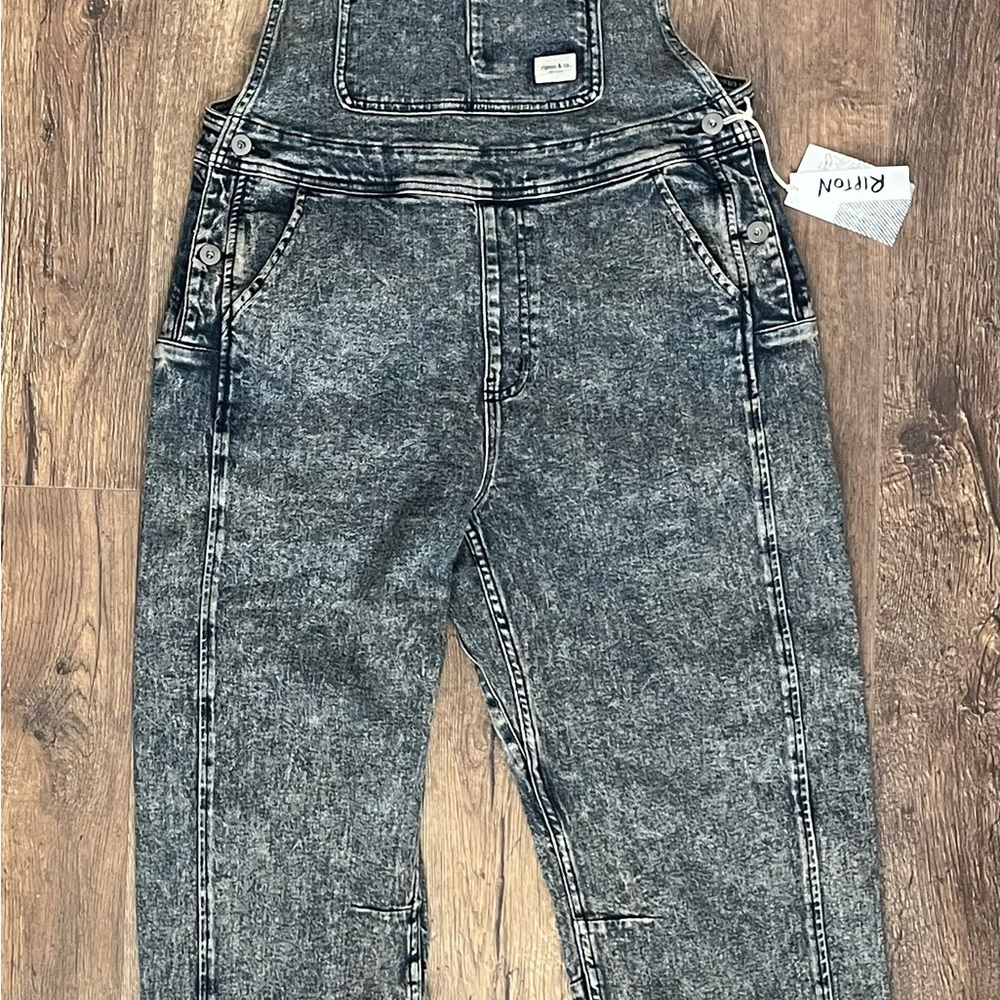 Ripton Women’s Starving Jartist Overalls in color mercury, size small
